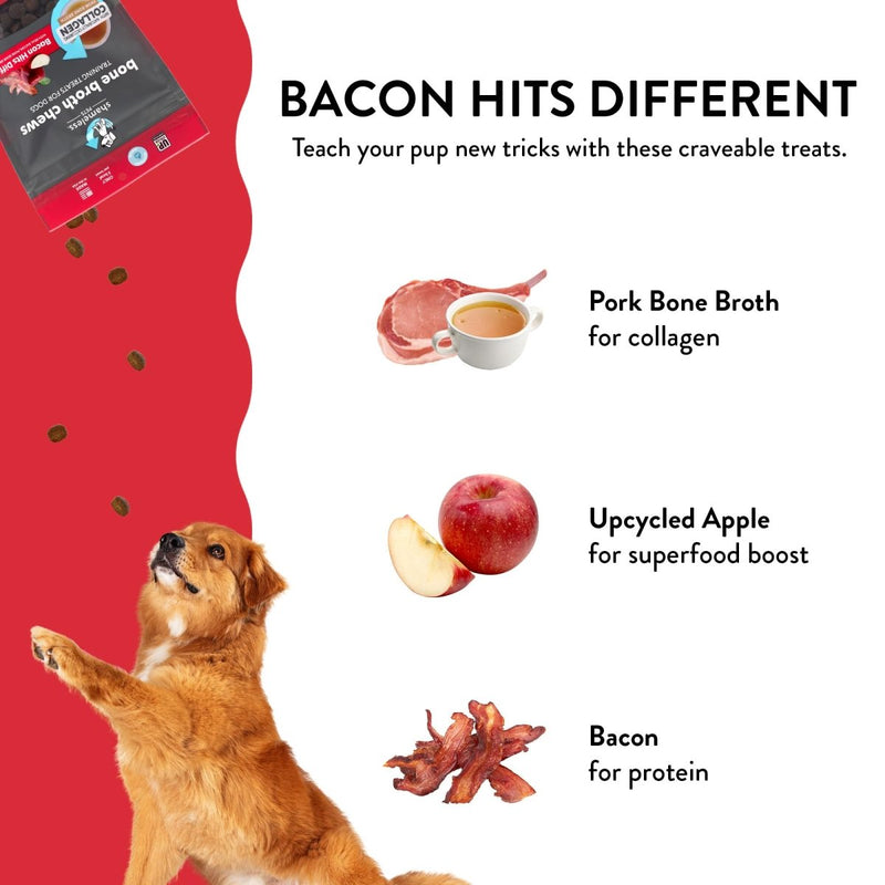 Shameless Pets Dog Training Treats, Bone Broth Chews (Bacon Hits Different) - Natural & Healthy Puppy Dog Treats - Soft Training Treats for Dogs with Naturally Occurring Collagen - Small Dog Treats