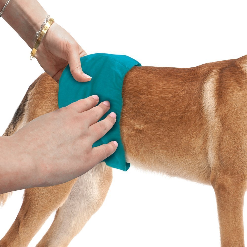 Simple Solution Absorbent Male Wraps with Leak Proof Fit - Excitable Urination, Incontinence - Reusable Dog Diaper - Whites & Tans