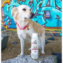 SKOUT'S HONOR Flea & Tick Shampoo with Natural Cedarwood and Peppermint Essential Oils - 16 oz.