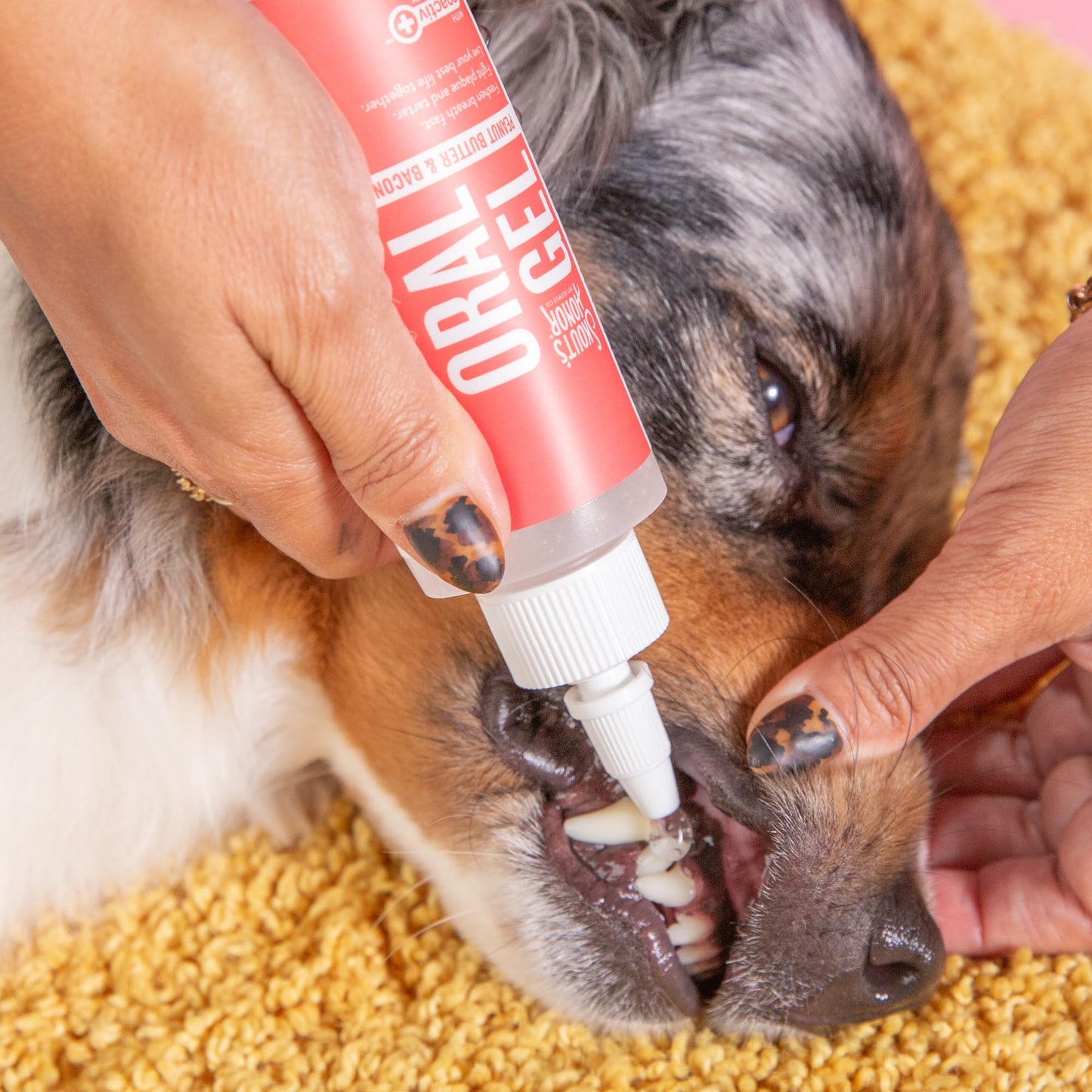 Skout'S Honor: Oral Gel For Dogs & Cats - Peanut Butter & Bacon 4Oz