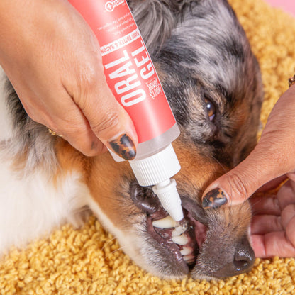 Skout'S Honor: Oral Gel For Dogs & Cats - Peanut Butter & Bacon 4Oz