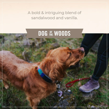 SKOUT'S HONOR Probiotic Shampoo + Conditioner for a Healthier Skin and Coat - Dog of the Woods - 16 oz