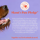 SKOUT'S HONOR Probiotic Shampoo + Conditioner for a Healthier Skin and Coat - Dog of the Woods - 16 oz