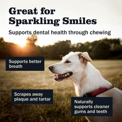 Small filled bone Redbarn chicken flavor