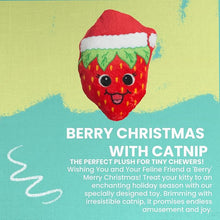 Snugarooz w catnip kitty berry Xmas cat toy plus strawberry
