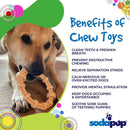 SodaPup Chicken - Flavored Honey Bone Teething Ring – Durable Dog Chew Toy Made in USA from Non - Toxic, Pet Safe, Food Safe Nylon Material for Clean Teeth, Fresh Breath, Problem Chewing, & More