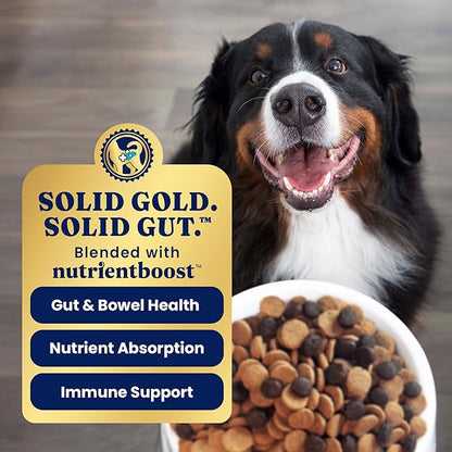 Solid Gold Sensitive Stomach Gut Health Cold Water Salmon & Vegetable Grain - Free Dry Dog Food, 3.75 - lb bag