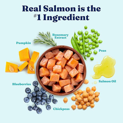 Solid Gold Sensitive Stomach Gut Health Cold Water Salmon & Vegetable Grain - Free Dry Dog Food, 3.75 - lb bag