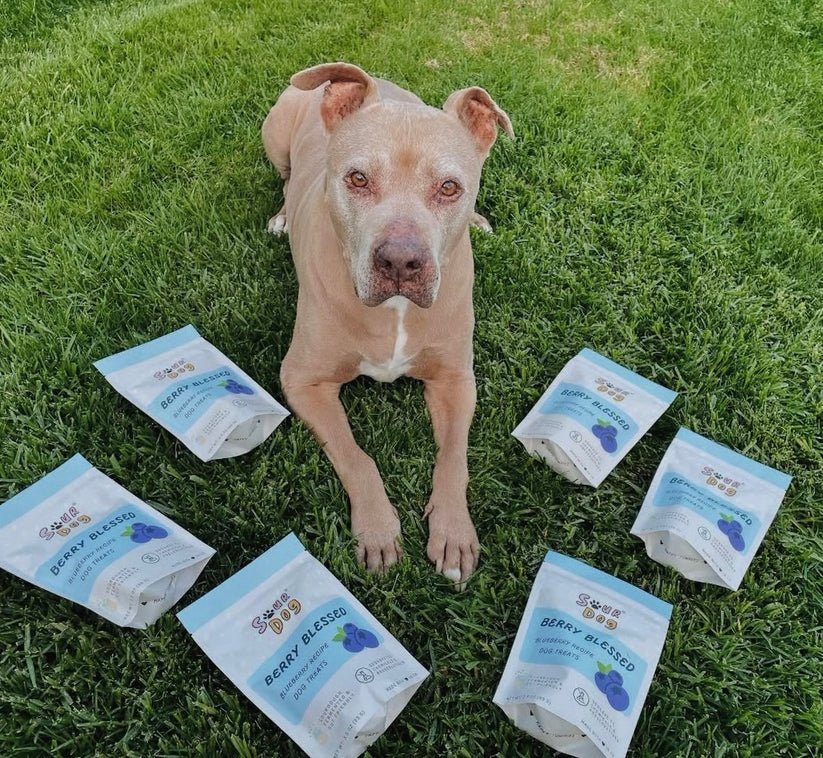 Sour dog berry blessed blueberry dog treats