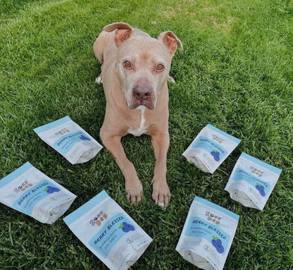 Sour dog berry blessed blueberry dog treats