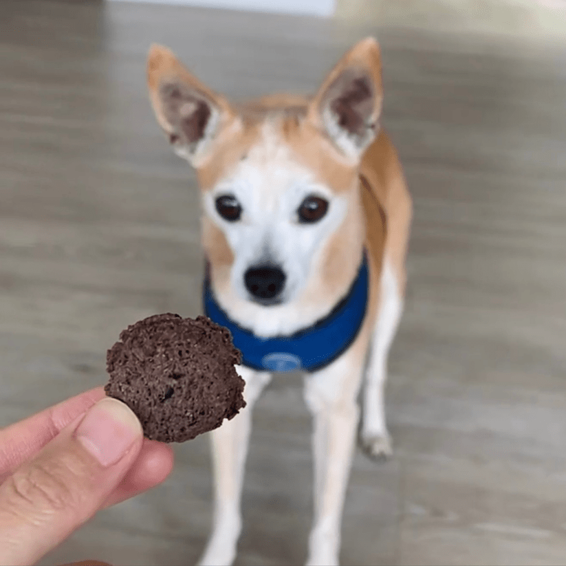 Sour dog berry blessed blueberry dog treats