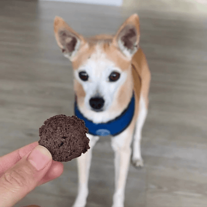 Sour dog berry blessed blueberry dog treats
