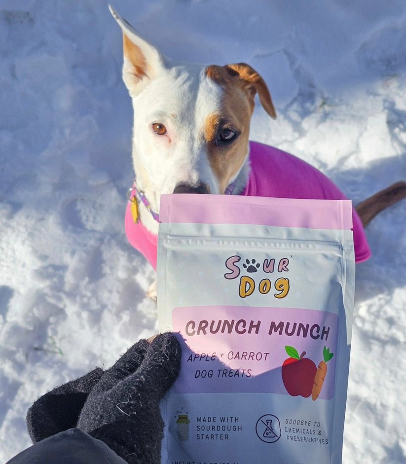 Sour dog crunch munch apple and carrot recipe dog treats