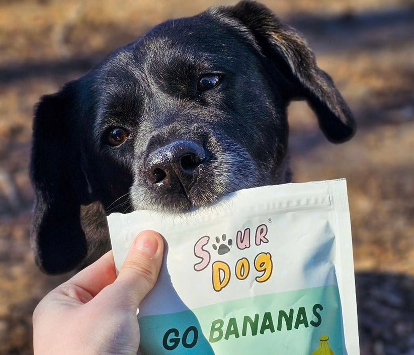 Sour dog go bananas dog treats