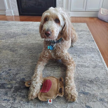 Spot dura fused all natural leather colors dog toy - llama