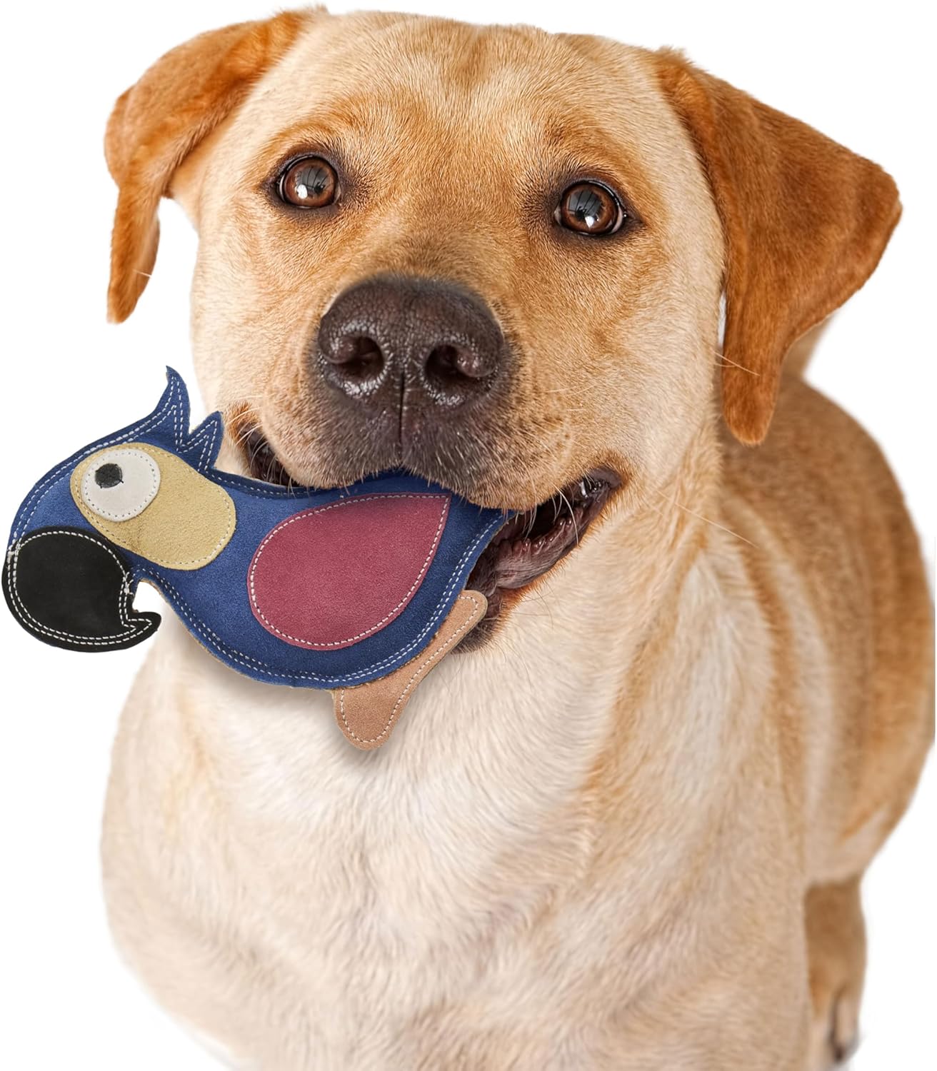 Spot duraflex all natural leather colors dog toy - bird