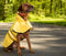 SPOT Ethical Pet Products Fashion Pet Coat Rainy Day, Yellow Lg