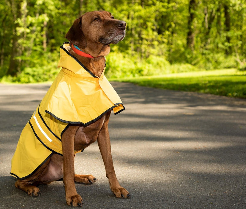 SPOT Ethical Pet Products Fashion Pet Coat Rainy Day, Yellow Md