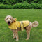 SPOT Ethical Pet Products Fashion Pet Coat Rainy Day, Yellow Md