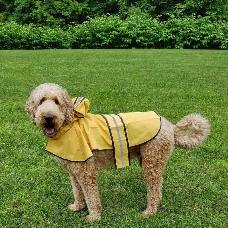 SPOT Ethical Pet Products Fashion Pet Coat Rainy Day, Yellow Md