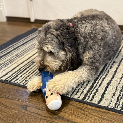 Spot latex dog toy with squeaker Joe Biden