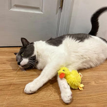 Spot love the earth barnyard bird cat toy