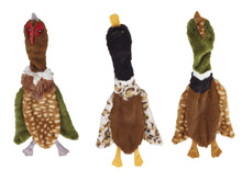 SPOT Skinneeez Crinklers | Stuffless Dog Toys with Squeaker For Small Dogs | Crinkle Toy For Small Puppies | 14" | Bird Asst Design | By Ethical Pet (Assorted colors)