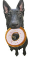 SPOT Tasty Donuts Plush Toy for Dogs 5""", Assorted (54538)