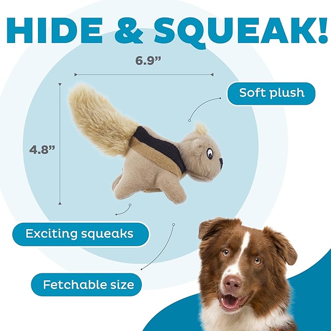 Squeakin squirrels outward 3 pack plush toys dog toy