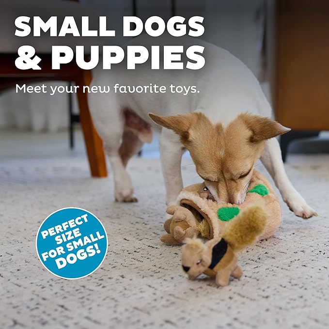 Squeakin squirrels outward 3 pack plush toys dog toy