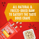 Stella & Chewy's Freeze - Dried Raw Carnivore Crunch Cage - Free Chicken Recipe Dog Treats – 3.25 oz. Bag