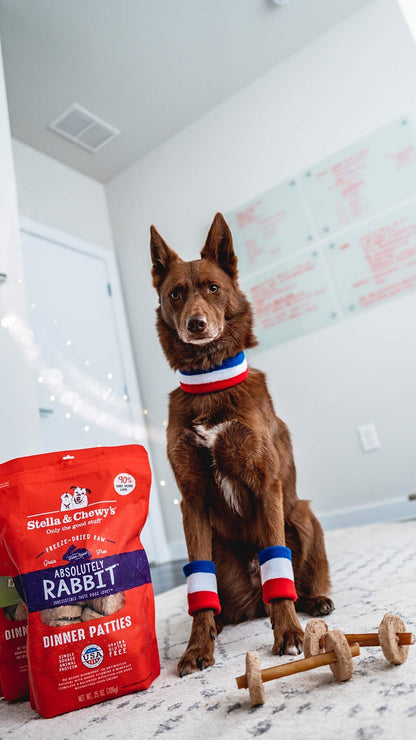 Stella & Chewy's Freeze Dried Raw Dinner Patties | Absolutely Rabbit Recipe | 14 oz Bag