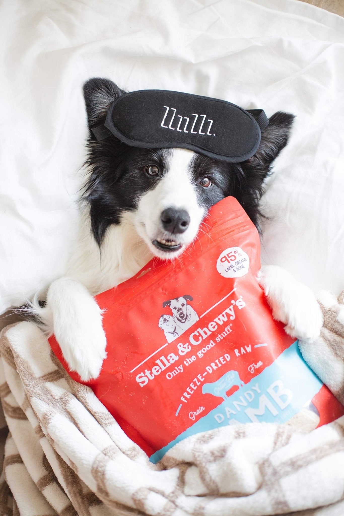 Stella & Chewy's Freeze Dried Raw Dinner Patties | Dandy Lamb Recipe | 14 oz Bag