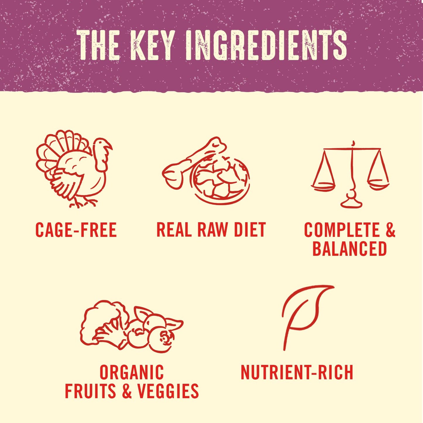 Stella & Chewy's Freeze Dried Raw Dinner Patties | Tantalizing Turkey Recipe | 14 oz Bag