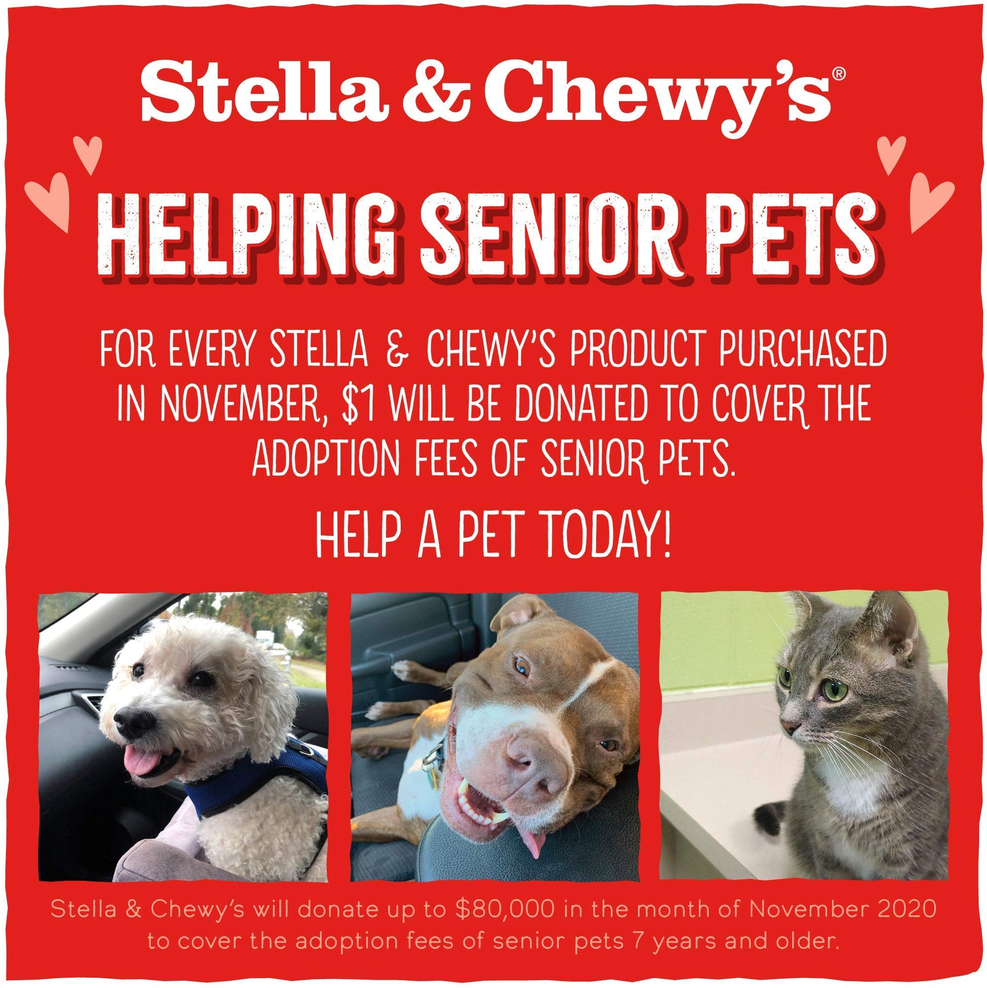 Stella & Chewy's Freeze Dried Raw Savory Salmon & Cod Meal Mixer | Dog Food Topper for Small & Large Breeds | Grain - Free & Protein - Rich | 8 oz Bag