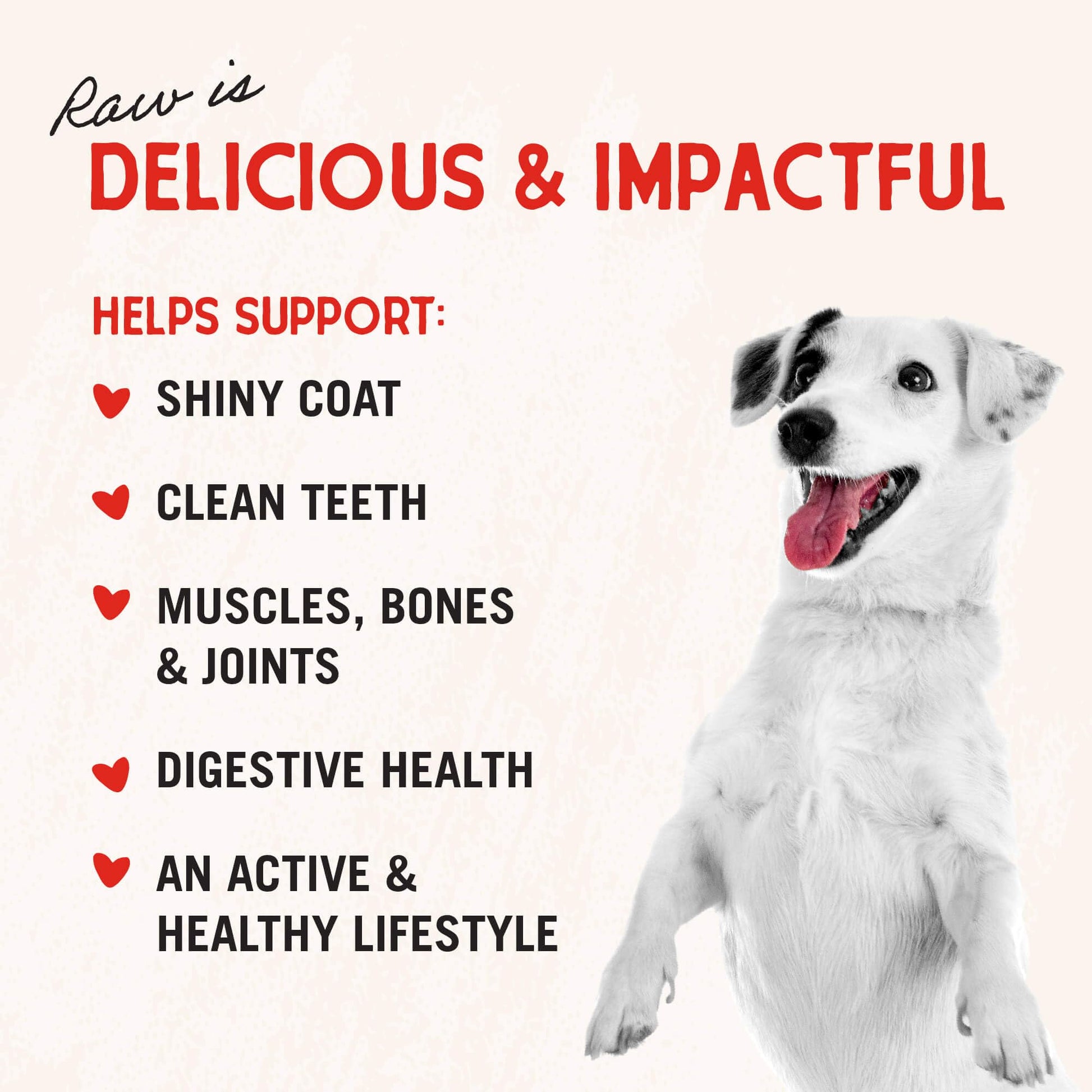 Stella & Chewy's Freeze - Dried Raw Single Ingredient Chicken Breast Treats, 2.75 oz. Bag
