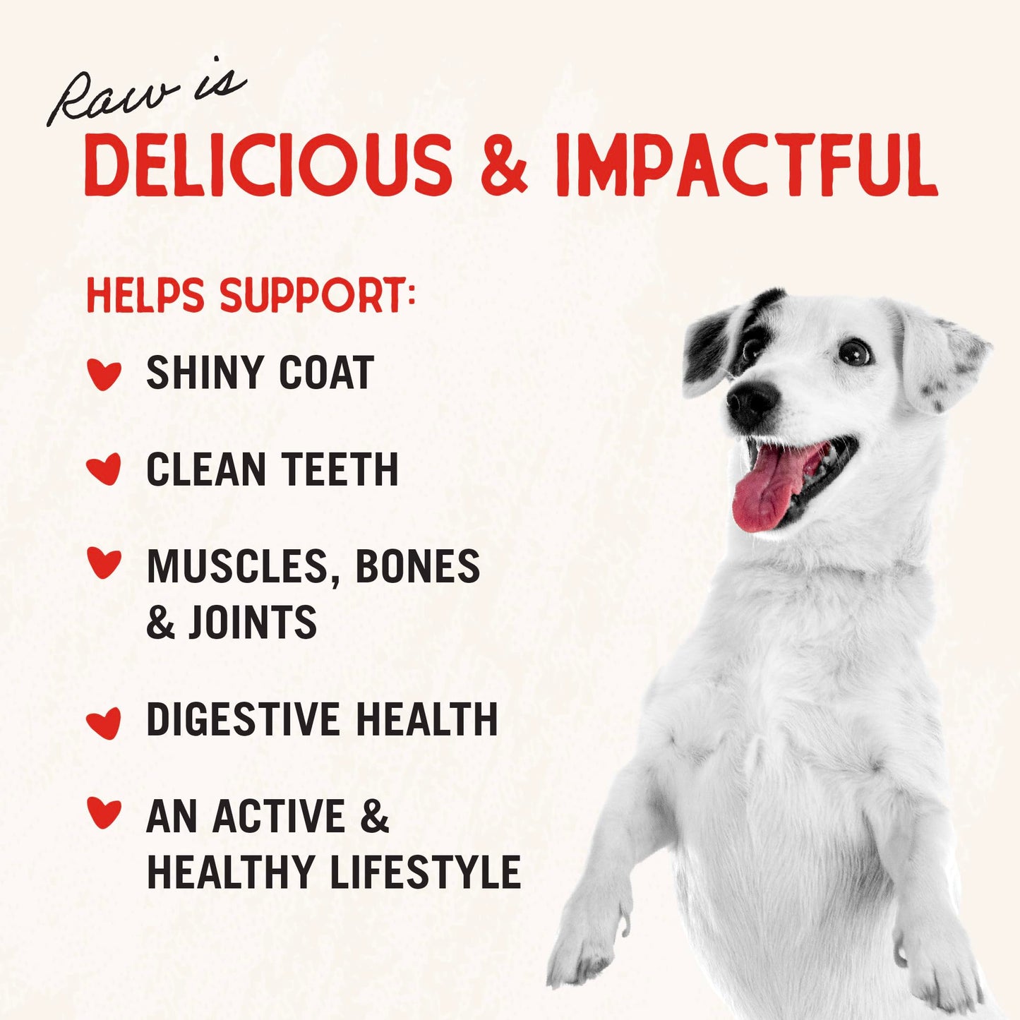 Stella & Chewy's Freeze - Dried Raw Single Ingredient Chicken Hearts Dog Treats, 3 oz. Bag