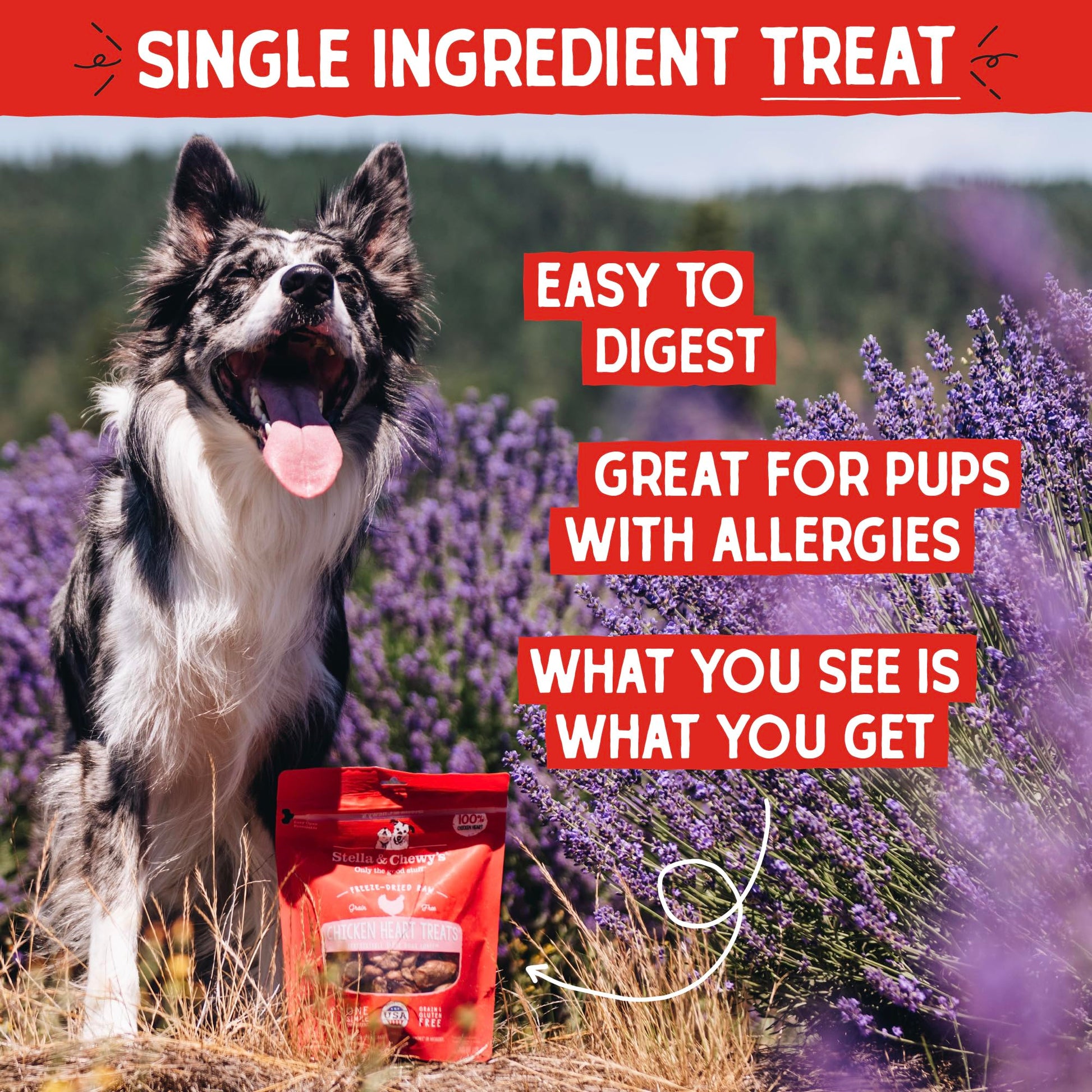 Stella & Chewy's Freeze - Dried Raw Single Ingredient Chicken Hearts Dog Treats, 3 oz. Bag