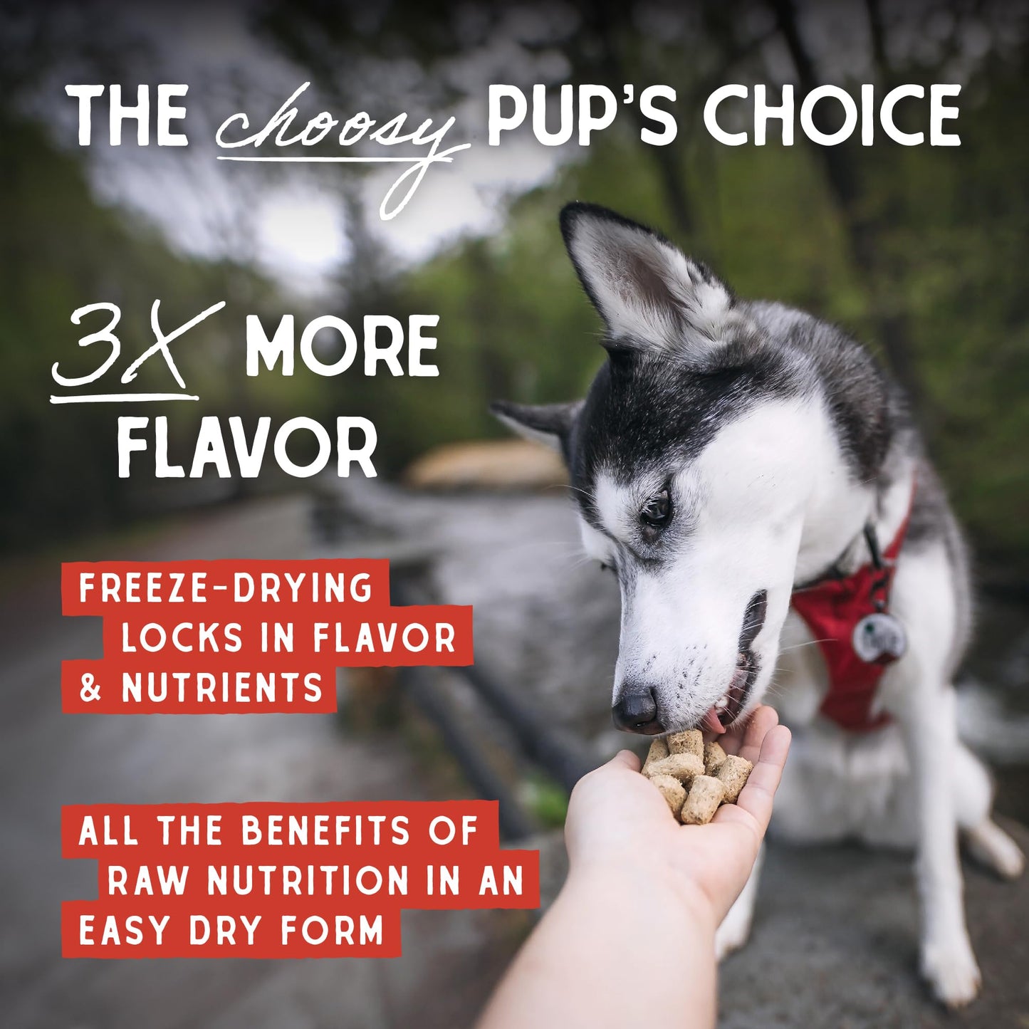 Stella & Chewy's Freeze Dried Raw Tantalizing Turkey Meal Mixer – Dog Food Topper for Small & Large Breeds – Grain Free, Protein Rich Recipe – 3.5 oz Bag