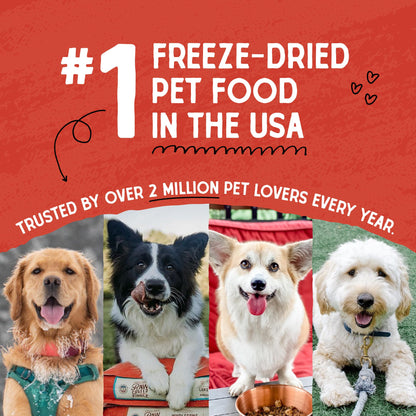 Stella & Chewy's Freeze Dried Raw Tantalizing Turkey Meal Mixer – Dog Food Topper for Small & Large Breeds – Grain Free, Protein Rich Recipe – 3.5 oz Bag