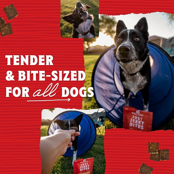 Stella & Chewy's Just Jerky Bites Real Chicken Recipe Grain - Free Dog Treats, 6 - oz bag