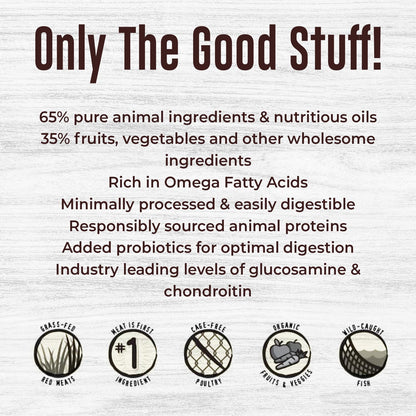 Stella & Chewy's Raw Coated Beef Recipe Dog Food | High - Protein Kibble (10 lb)