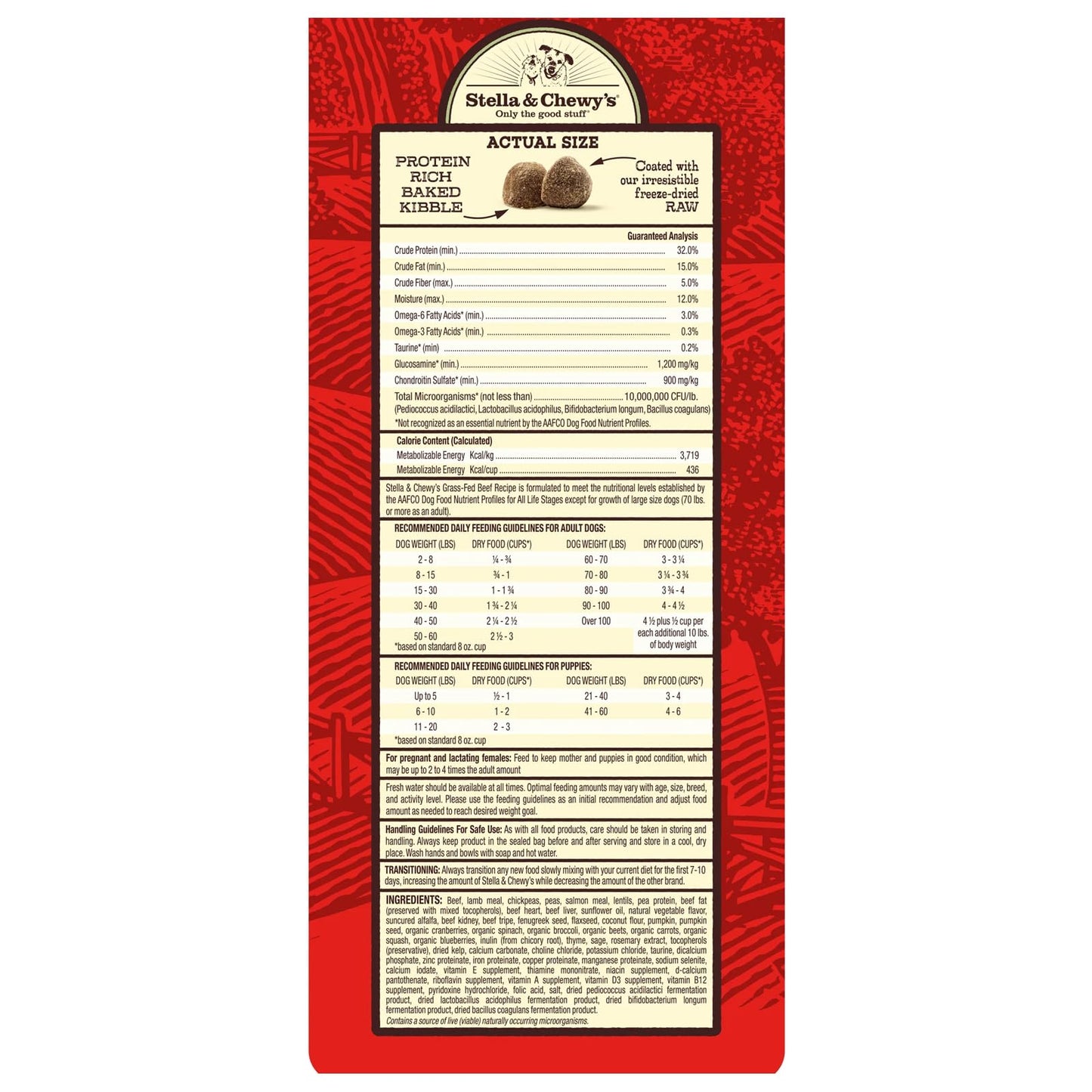 Stella & Chewy's Raw Coated Beef Recipe Dog Food | High - Protein Kibble (10 lb)