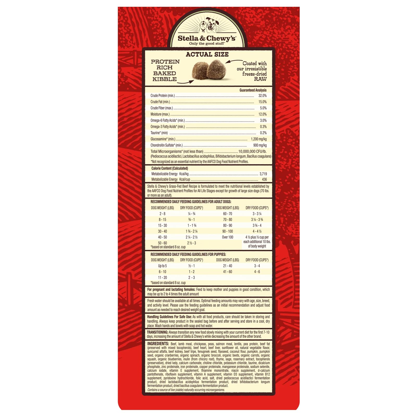 Stella & Chewy's Raw Coated Beef Recipe Dog Food | High - Protein Kibble (10 lb)