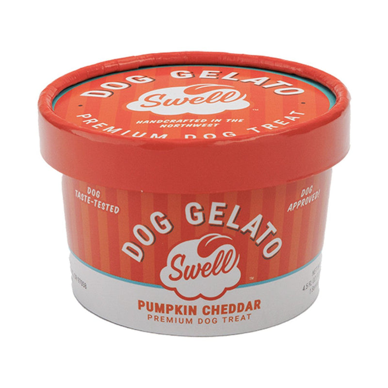 Swell Pumpkin Cheddar Frozen Gelato Dog Treat