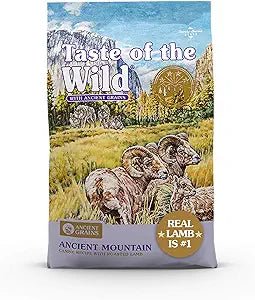 Taste of the wild ancient mountain canine with roasted lamb