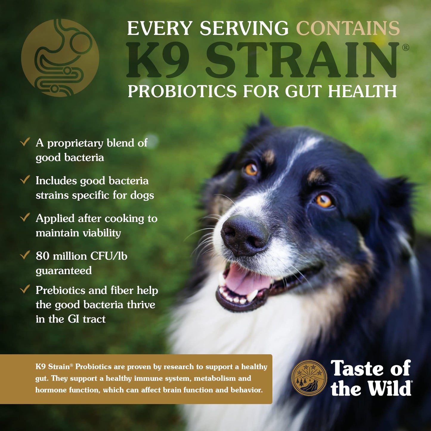 Taste of the Wild Ancient Prairie Canine Recipe with Roasted Bison & Venison – High - Protein Dry Dog Food with Ancient Grains – 5 lb Bag