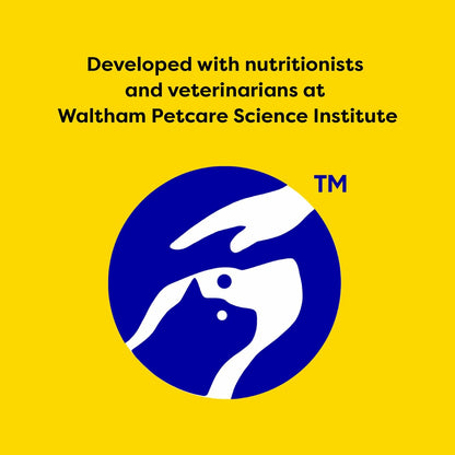 Temptation value size 16 ounces cat treats