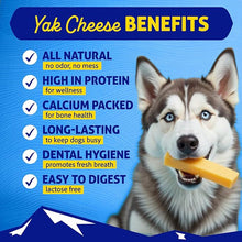 The original Himalayan dog chew medium cheese
