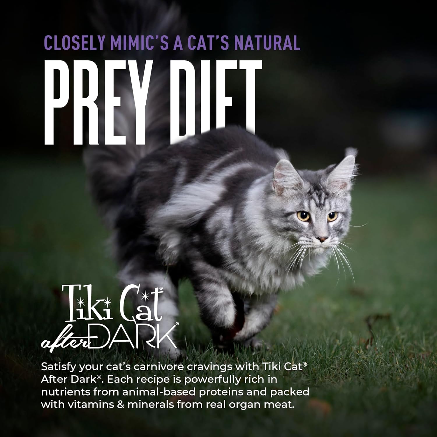 Tiki cat after dark venison and beef liver recipe